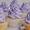 purpledilemma